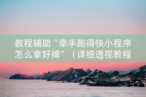 教程辅助“牵手跑得快小程序怎么拿好牌”（详细透视教程）-哔哩哔哩
