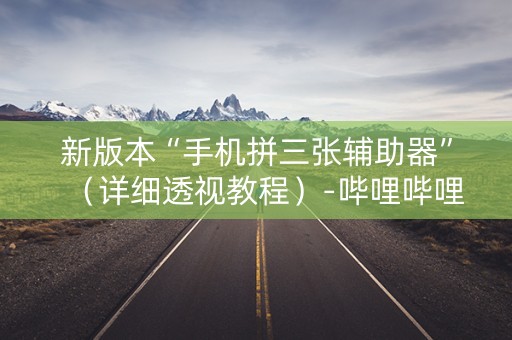 新版本“手机拼三张辅助器”（详细透视教程）-哔哩哔哩