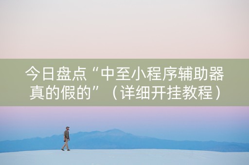 今日盘点“中至小程序辅助器真的假的”（详细开挂教程）-哔哩哔哩