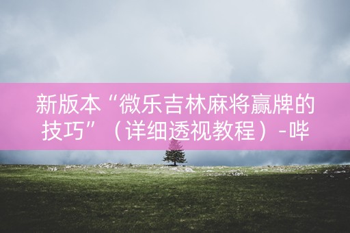 新版本“微乐吉林麻将赢牌的技巧”（详细透视教程）-哔哩哔哩