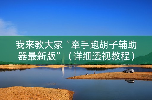 我来教大家“牵手跑胡子辅助器最新版”（详细透视教程）-哔哩哔哩