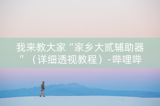 我来教大家“家乡大贰辅助器”（详细透视教程）-哔哩哔哩