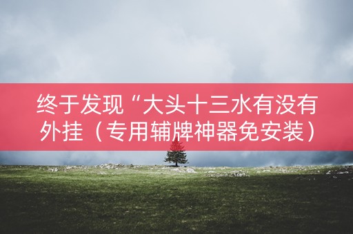 终于发现“大头十三水有没有外挂（专用辅牌神器免安装）