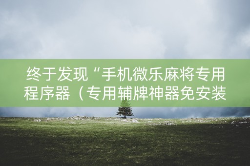 终于发现“手机微乐麻将专用程序器（专用辅牌神器免安装）