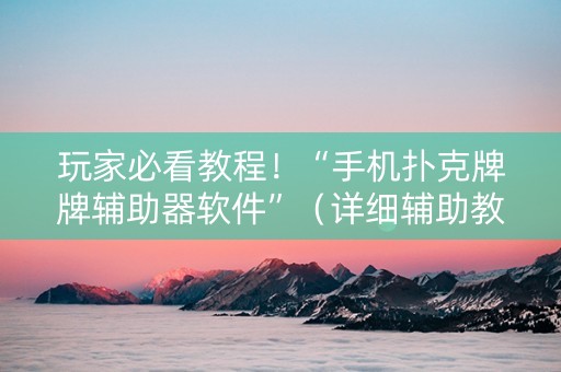 玩家必看教程！“手机扑克牌牌辅助器软件”（详细辅助教程）-哔哩哔哩