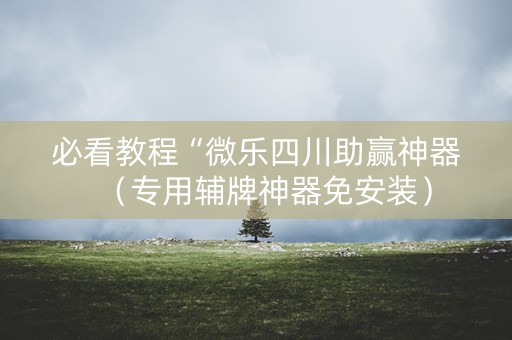 必看教程“微乐四川助赢神器（专用辅牌神器免安装）