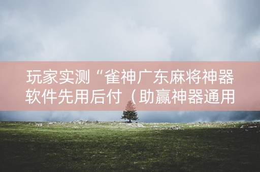 玩家实测“雀神广东麻将神器软件先用后付（助赢神器通用版）