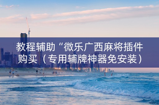 教程辅助“微乐广西麻将插件购买（专用辅牌神器免安装）