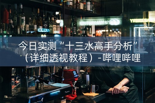 今日实测“十三水高手分析”（详细透视教程）-哔哩哔哩