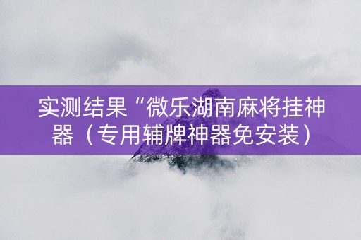 实测结果“微乐湖南麻将挂神器（专用辅牌神器免安装）