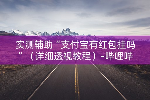 实测辅助“支付宝有红包挂吗”（详细透视教程）-哔哩哔哩