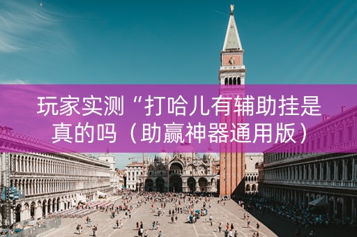 玩家实测“打哈儿有辅助挂是真的吗（助赢神器通用版）