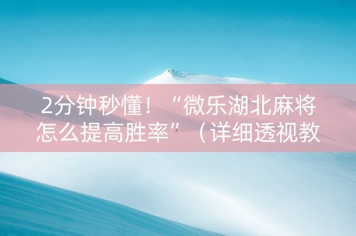 2分钟秒懂！“微乐湖北麻将怎么提高胜率”（详细透视教程）-哔哩哔哩