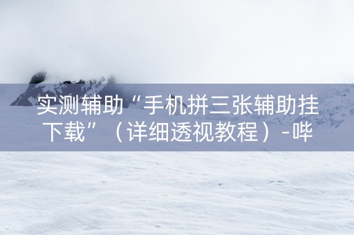 实测辅助“手机拼三张辅助挂下载”（详细透视教程）-哔哩哔哩