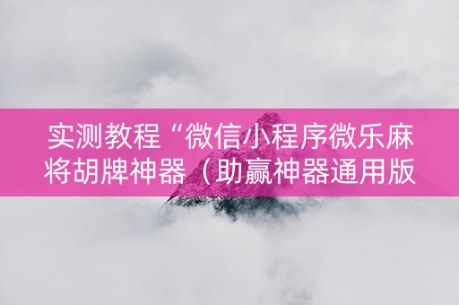 实测教程“微信小程序微乐麻将胡牌神器（助赢神器通用版）