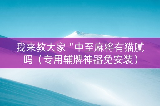 我来教大家“中至麻将有猫腻吗（专用辅牌神器免安装）