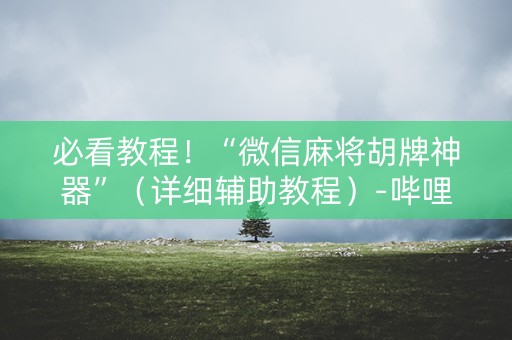 必看教程！“微信麻将胡牌神器”（详细辅助教程）-哔哩哔哩