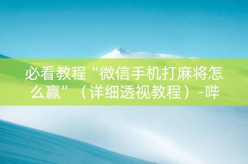 必看教程“微信手机打麻将怎么赢”（详细透视教程）-哔哩哔哩