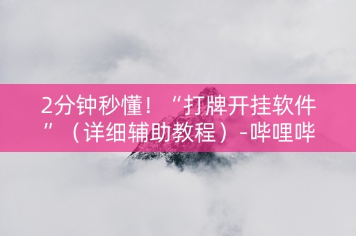 2分钟秒懂！“打牌开挂软件”（详细辅助教程）-哔哩哔哩