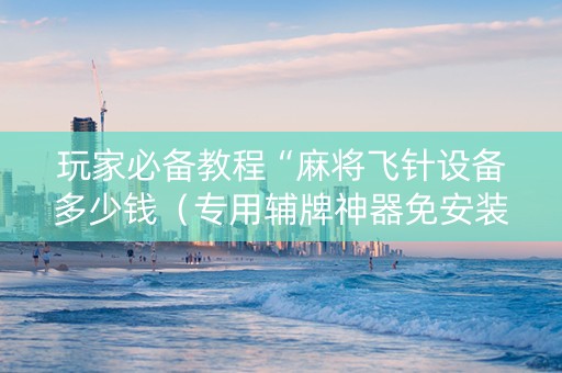 玩家必备教程“麻将飞针设备多少钱（专用辅牌神器免安装）