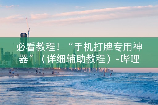 必看教程！“手机打牌专用神器”（详细辅助教程）-哔哩哔哩