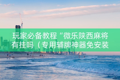 玩家必备教程“微乐陕西麻将有挂吗（专用辅牌神器免安装）