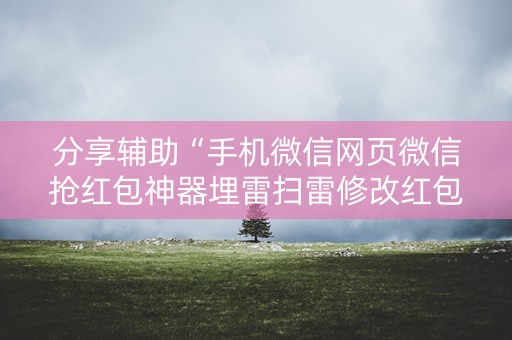 分享辅助“手机微信网页微信抢红包神器埋雷扫雷修改红包”（详细透视教程）-哔哩哔哩