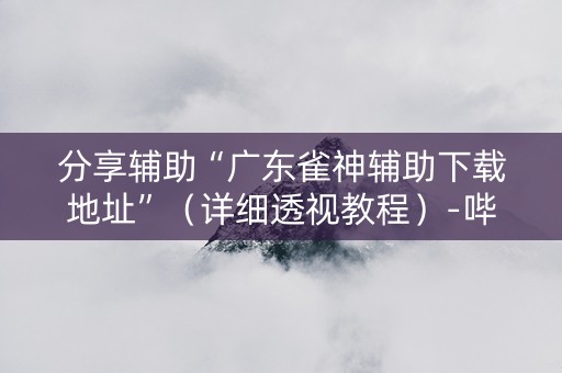 分享辅助“广东雀神辅助下载地址”（详细透视教程）-哔哩哔哩
