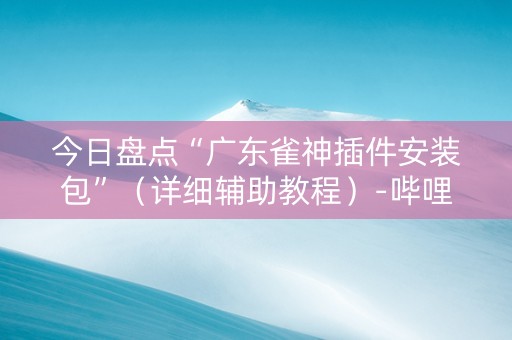 今日盘点“广东雀神插件安装包”（详细辅助教程）-哔哩哔哩