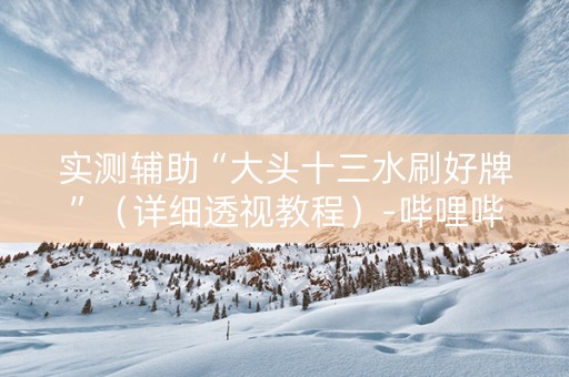 实测辅助“大头十三水刷好牌”（详细透视教程）-哔哩哔哩