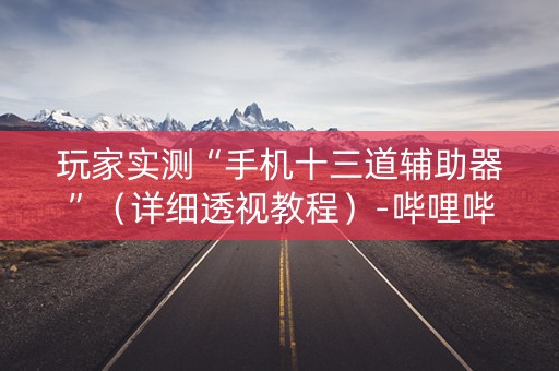 玩家实测“手机十三道辅助器”（详细透视教程）-哔哩哔哩