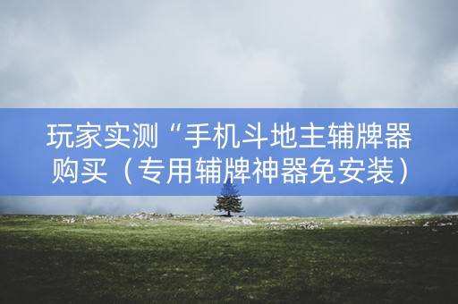 玩家实测“手机斗地主辅牌器购买（专用辅牌神器免安装）