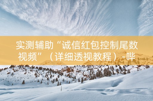 实测辅助“诚信红包控制尾数视频”（详细透视教程）-哔哩哔哩