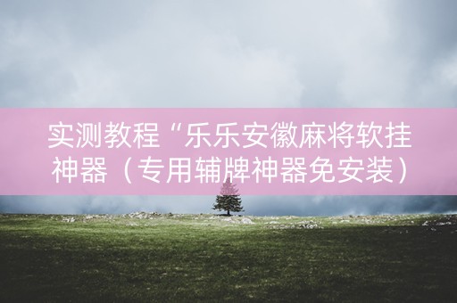 实测教程“乐乐安徽麻将软挂神器（专用辅牌神器免安装）