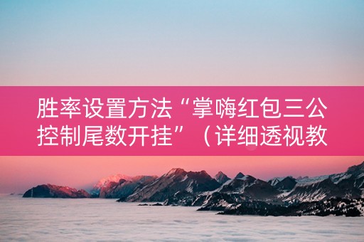 胜率设置方法“掌嗨红包三公控制尾数开挂”（详细透视教程）-哔哩哔哩