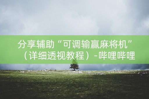 分享辅助“可调输赢麻将机”（详细透视教程）-哔哩哔哩