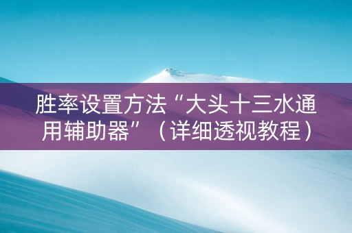 胜率设置方法“大头十三水通用辅助器”（详细透视教程）-哔哩哔哩