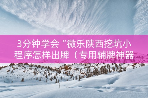 3分钟学会“微乐陕西挖坑小程序怎样出牌（专用辅牌神器免安装）