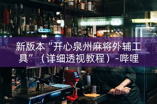 新版本“开心泉州麻将外辅工具”（详细透视教程）-哔哩哔哩