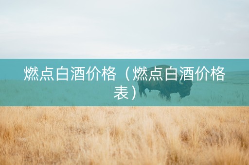燃点白酒价格（燃点白酒价格表）