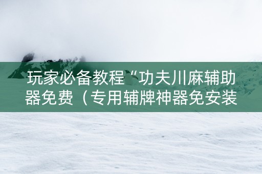玩家必备教程“功夫川麻辅助器免费（专用辅牌神器免安装）