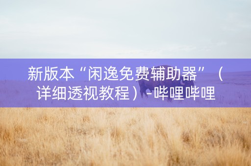 新版本“闲逸免费辅助器”（详细透视教程）-哔哩哔哩