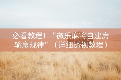 必看教程！“微乐麻将自建房输赢规律”（详细透视教程）-哔哩哔哩