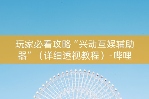 玩家必看攻略“兴动互娱辅助器”（详细透视教程）-哔哩哔哩