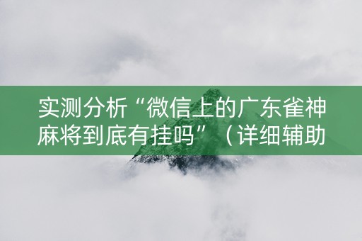 实测分析“微信上的广东雀神麻将到底有挂吗”（详细辅助教程）-哔哩哔哩