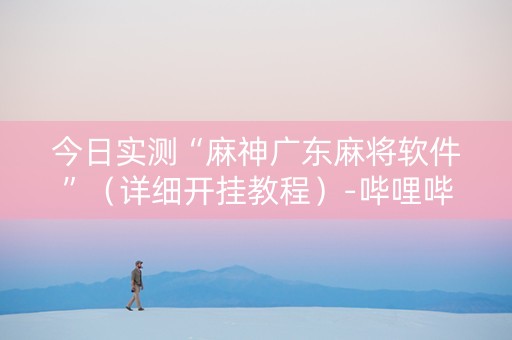 今日实测“麻神广东麻将软件”（详细开挂教程）-哔哩哔哩