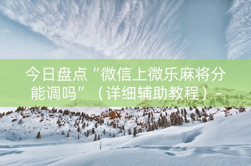 今日盘点“微信上微乐麻将分能调吗”（详细辅助教程）-哔哩哔哩
