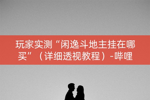 玩家实测“闲逸斗地主挂在哪买”（详细透视教程）-哔哩哔哩