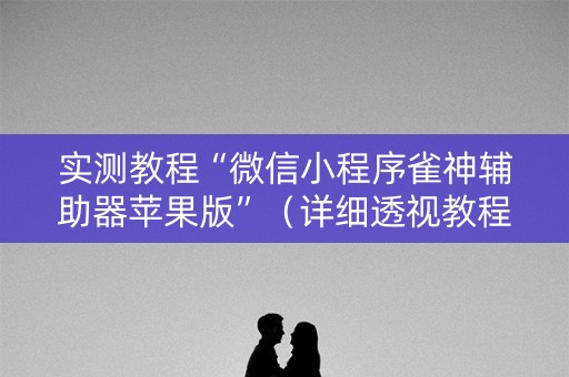实测教程“微信小程序雀神辅助器苹果版”（详细透视教程）-哔哩哔哩