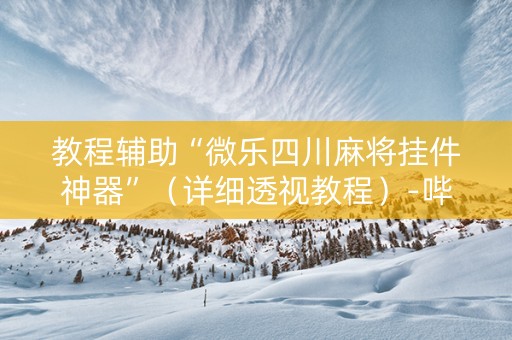 教程辅助“微乐四川麻将挂件神器”（详细透视教程）-哔哩哔哩